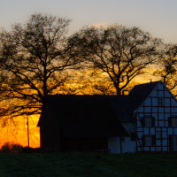 The House Of The Rising Sun