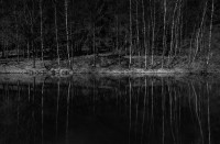 Waldspiegel Waldspiegel
