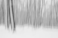 Winterholz Winterholz