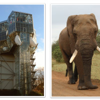 apc collage   2025.12.04 16.04  