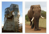 apc collage   2025.12.04 16.04  