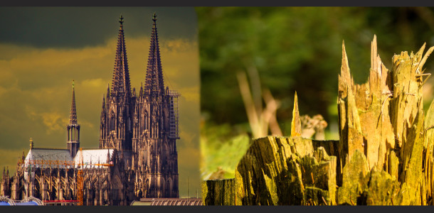 Naturelemente mit Architektur vergleichen