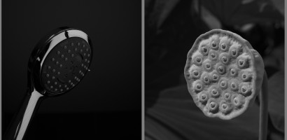 Duschkopf (paarung) Lotuskapsel