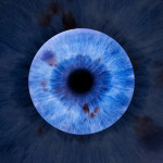 Iris Iris
