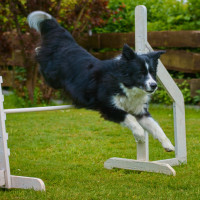 AGILITY