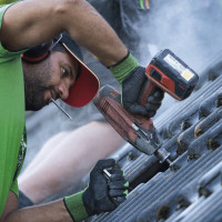 Die Welt ein bisschen grüner machen.