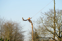 Gefahrf&auml;llung im Ort