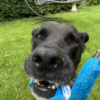 Wer ist St&auml;rker 