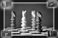 Opas selbst geschnitzte Schachpferde