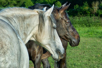 Wir zwei sind ein Paar
