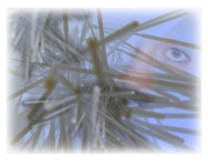 Benutzte Corona-Nasenstäbchen