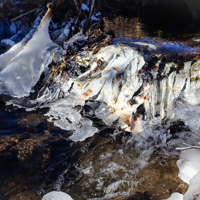 Wie schön wäre der Bach ohne Plastikmüll
