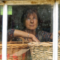  blick aus dem fabrikfenster 