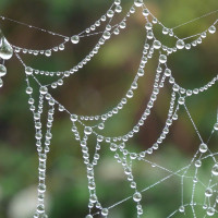 Monika Graszynski-Wie Perlen auf einer Kette