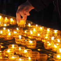 Wiederholungen Wiederholungen