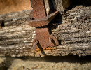 fenstergitter