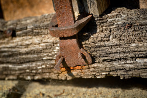 fenstergitter