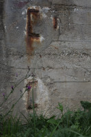 rost 2025