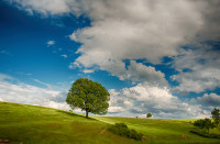 34 Helmut May - Sommerzeit