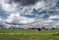 Mucher Landschaft Mucher Landschaft