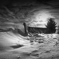 Winterimpression Winterimpression