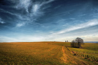 Zwischen Wersch und Sauerbach