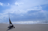 Any Way the Wind Blows