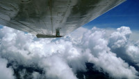 Wolken im Busch Wolken im Busch