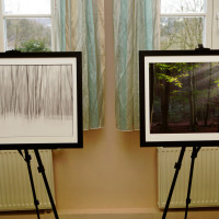 _DSC3638 (1) _DSC3638 (1)