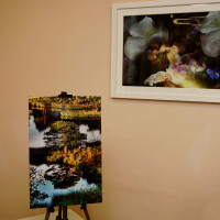 _DSC3647 (1) _DSC3647 (1)