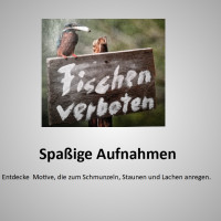 2022-04-11 Spaßige Aufnahmen