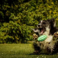 Gleich hab ich Dich....