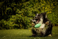 Gleich hab ich Dich....