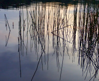Reflexion am See Reflexion am See