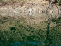 Spiegelung auf der Aggertalsperre