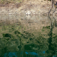 Spiegelung auf der Aggertalsperre Spiegelung auf der Aggertalsperre