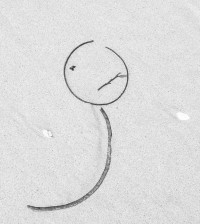 istrand gut istrand gut