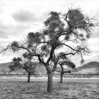 Strukturen in der Natur