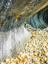 Strukturen in der Natur1