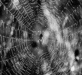 Strukturen in der Natur2