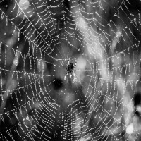 Strukturen in der Natur2