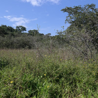 20160320150937-1-Original