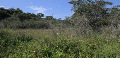 20160320150937-6-Kopie alle Aenderungen