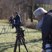 Fotowalk am Heckberg-ST-3