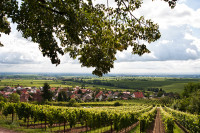 HM Pfalz Gleisweiler 00002