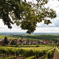 HM Pfalz Gleisweiler 00002