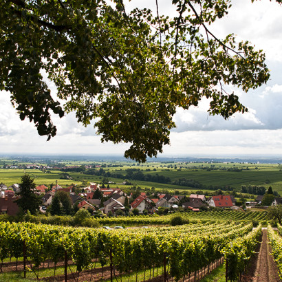 HM Pfalz Gleisweiler 00002