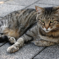 Besuch am frühen Abend