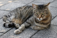 Besuch am fr&uuml;hen Abend