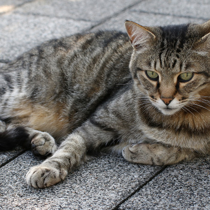 Besuch am fr&uuml;hen Abend